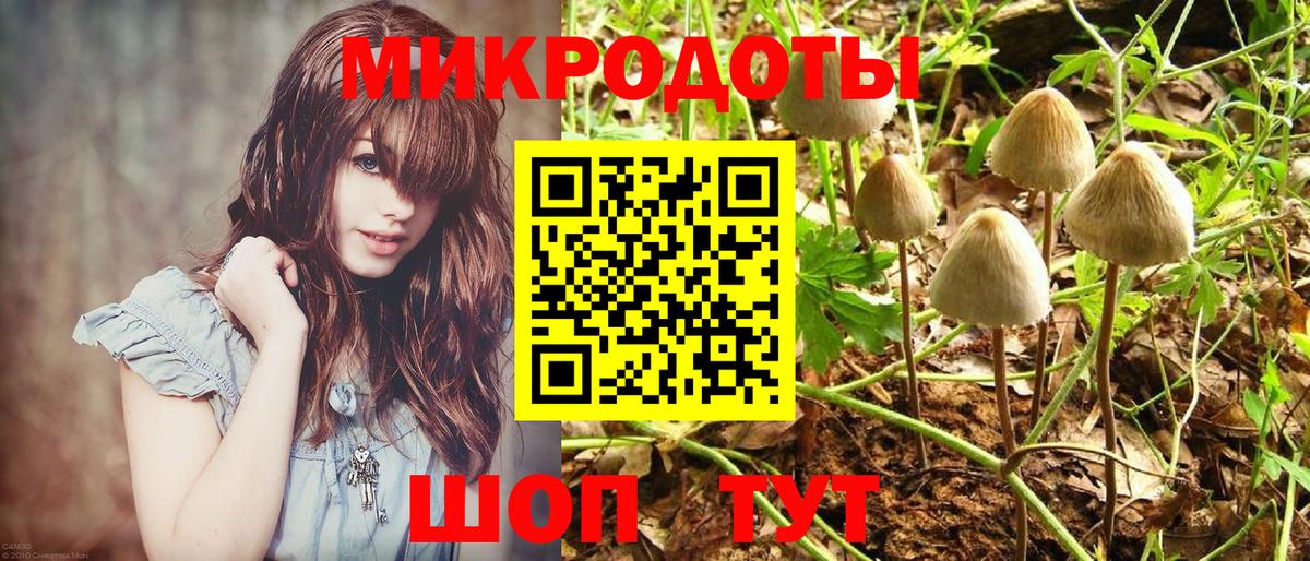 Псилоцибиновые грибы прущие грибы  Вход с VPN  Тимашёвск 