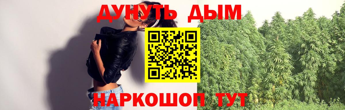 Конопля план Тимашёвск
